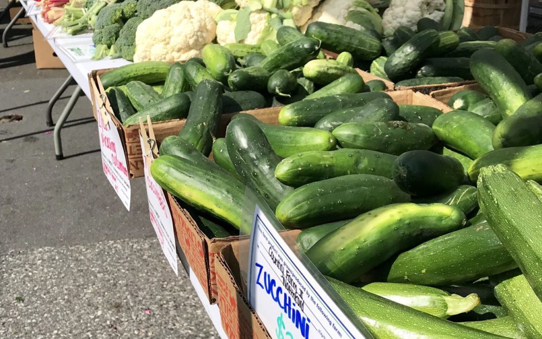 Second Farmer’s Market Launches in Stamford Downtown On Wednesdays!