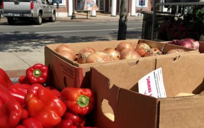 Stamford Downtown Farmer’s Market To Open For The Season On Saturday!