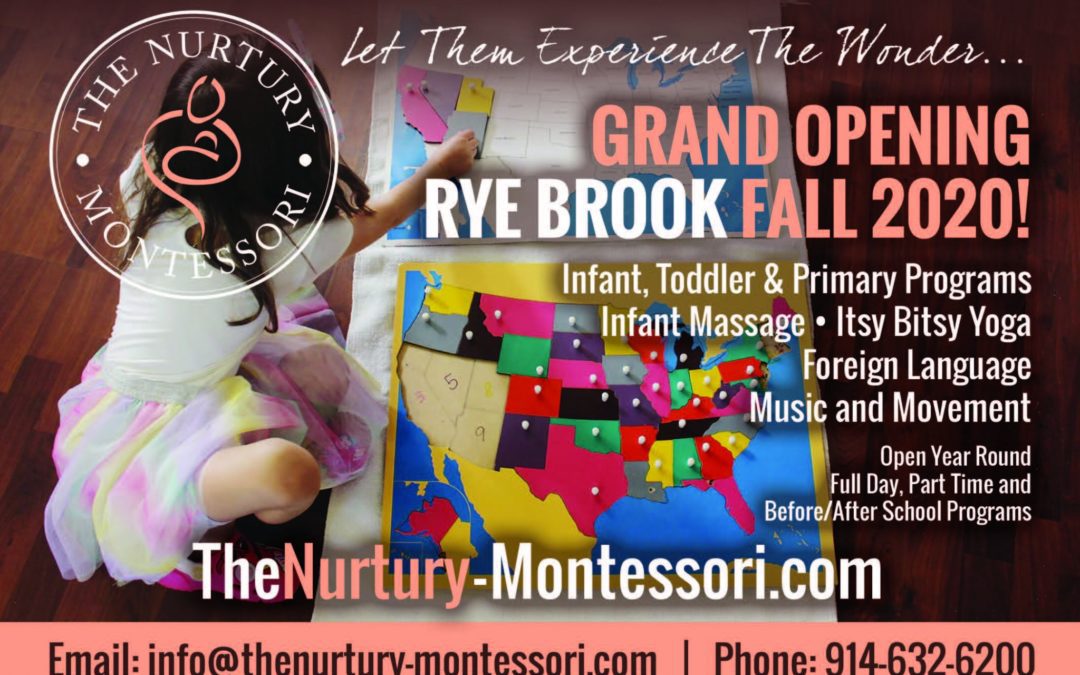 The Montessori Mafia