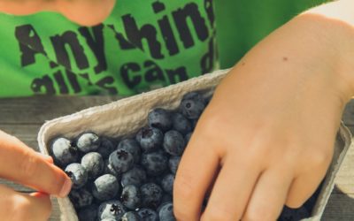 SPS Participates in Seamless Summer Food Program