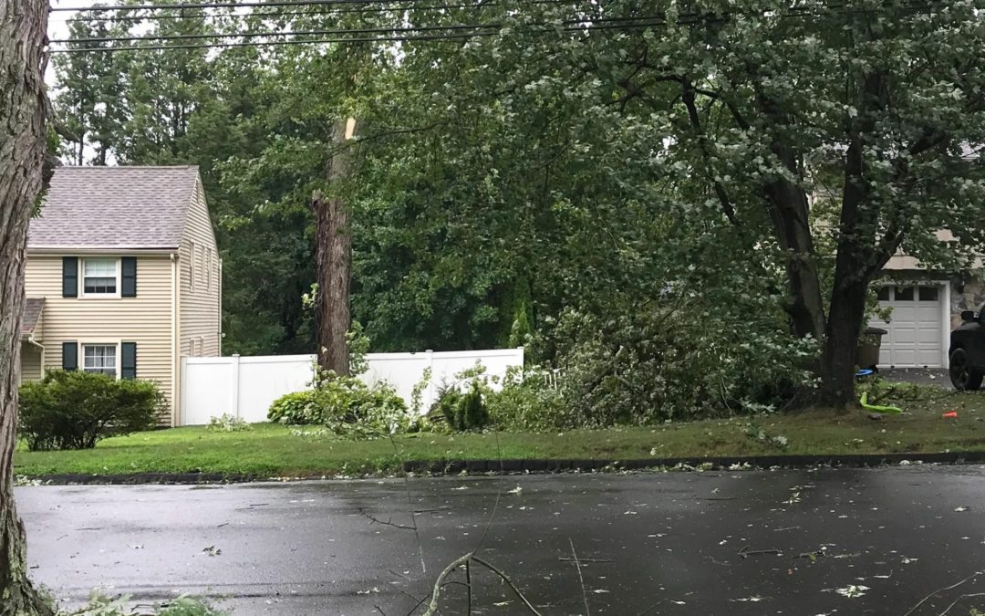 Storm Debris Drop Off In Stamford