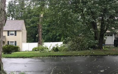 Storm Debris Drop Off In Stamford