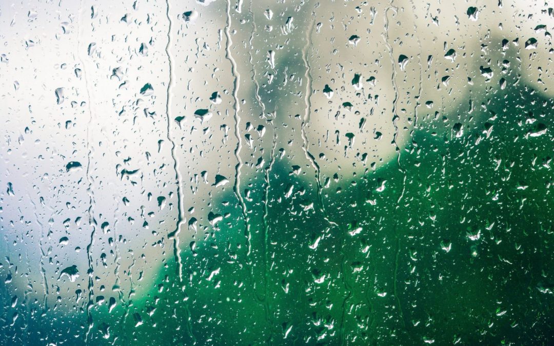 Stamford Is Under A Tropical Storm Warning Beginning Mid-Day On Tuesday