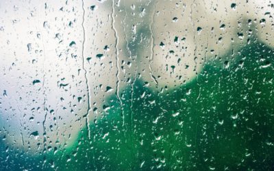 Stamford Is Under A Tropical Storm Warning Beginning Mid-Day On Tuesday