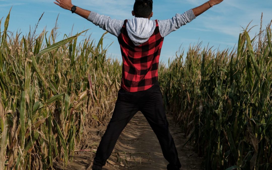 Corn Maze Options Nearby!