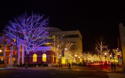 The Winter Lights Are Shining In Stamford Downtown!