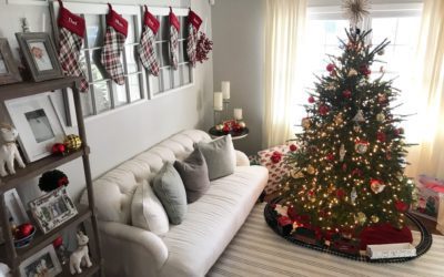 How To Recycle Your Christmas Tree in Stamford!