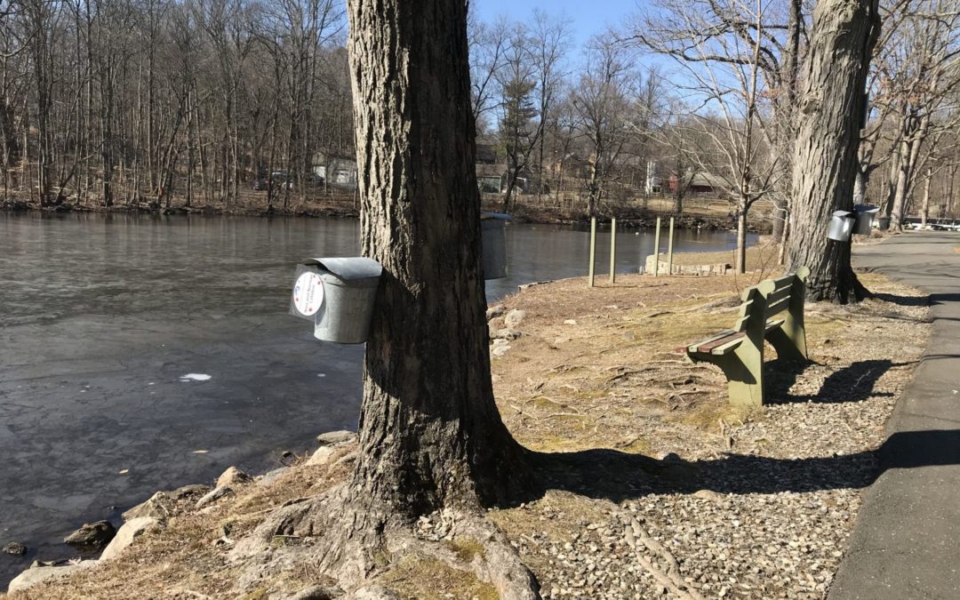 2021 Maple Sugar Season Events!