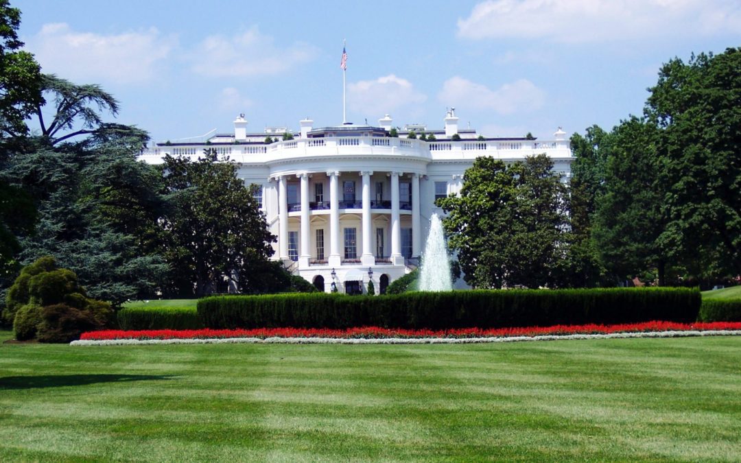 5 Inauguration Day Activities for Kids!