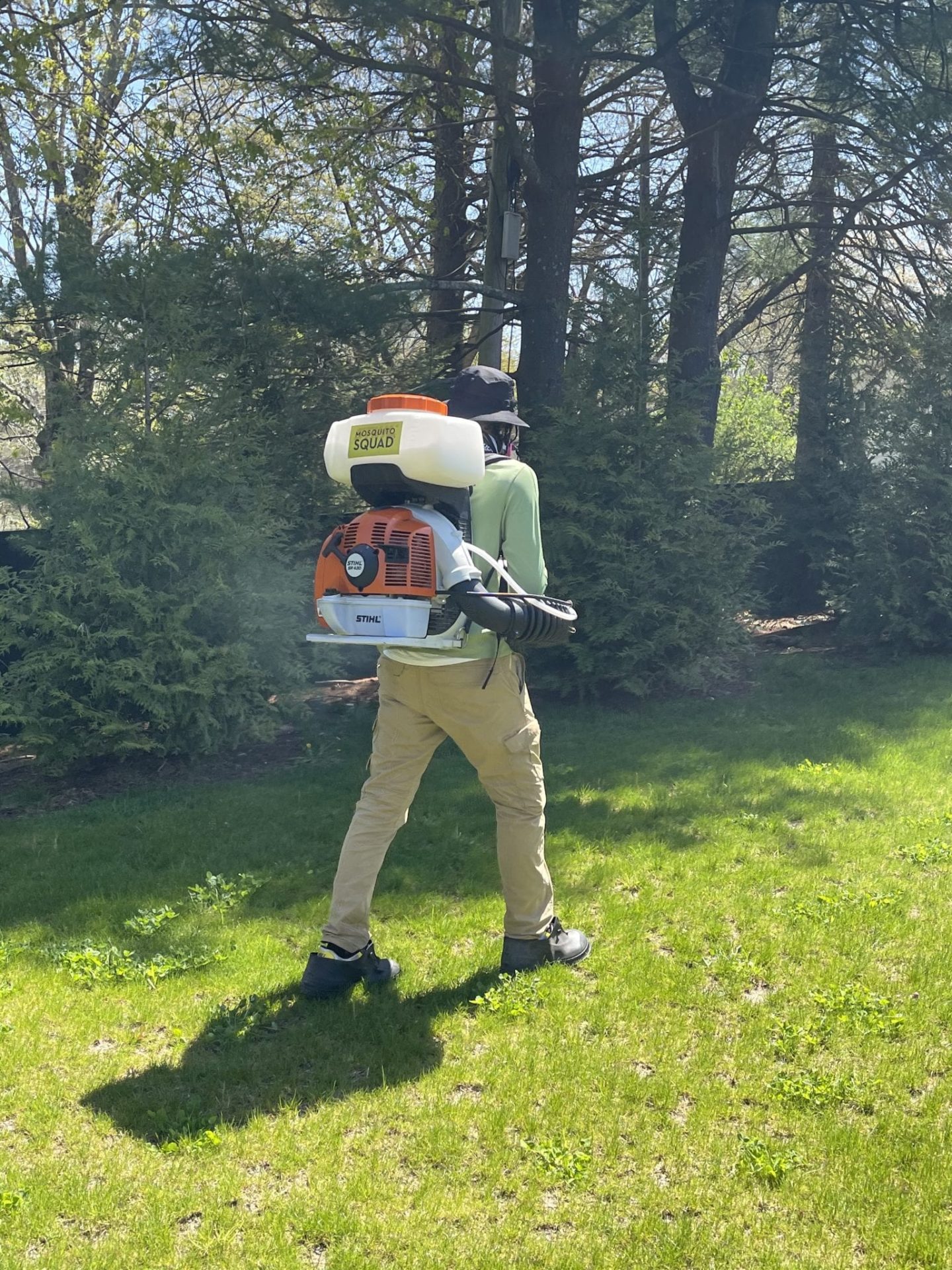 spraying a lawn