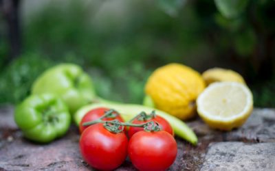 Stamford Announces New Food Scrap Recycling Program!