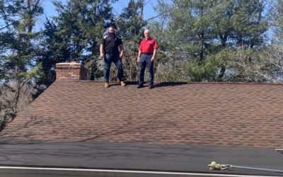 Learn About The LIONS of Home Inspecting!