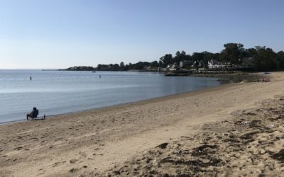 Summer 2021 Stamford Beach Info!