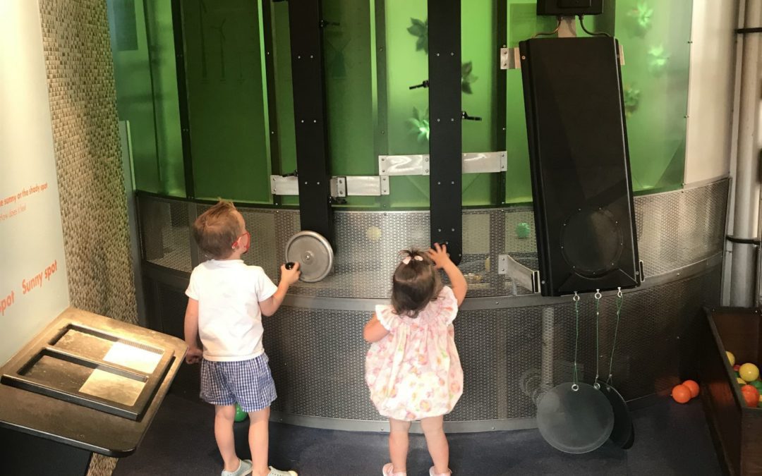 What’s New at Stepping Stones This Summer & Fall