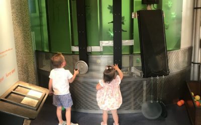 What’s New at Stepping Stones This Summer & Fall