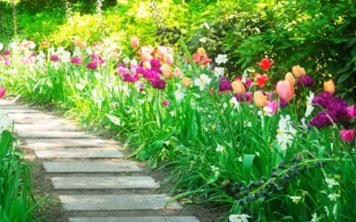 Family Friendly Spring Day Trips!