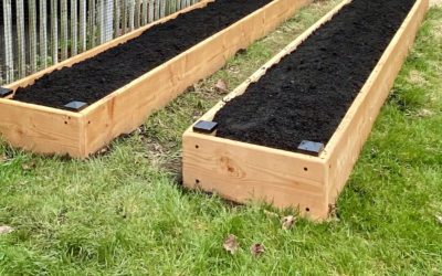 How To Get Started Growing Your Own Veggies!