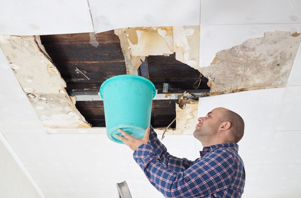 The Great Cost to Fix Water Damage? $5,342!!!