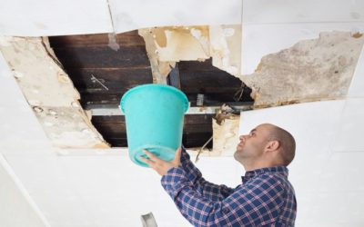 The Great Cost to Fix Water Damage? $5,342!!!