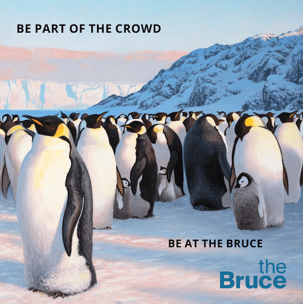 5 Reasons to Visit the New Bruce Museum on its Grand Opening Day!