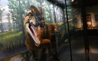 FREE Summer Weekends for Kids at the Bruce Museum