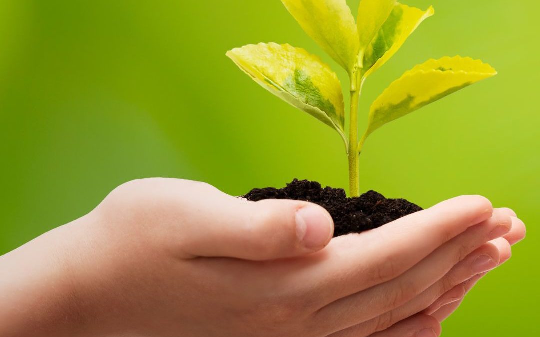 Ways to Celebrate Earth Week with the Kids!