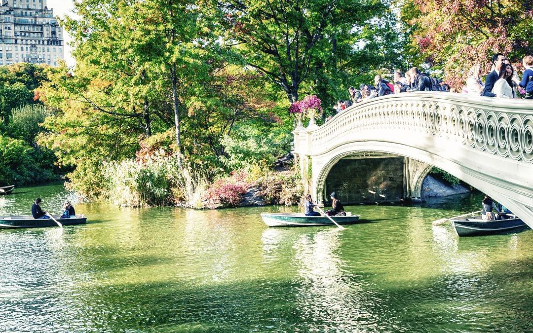 Day Trip Idea: NYC with the Kids!