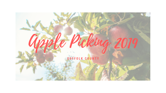 2019 Apple Picking Guide