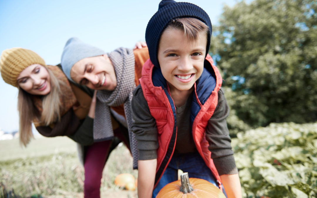 Apple and Pumpkin Picking Round-Up