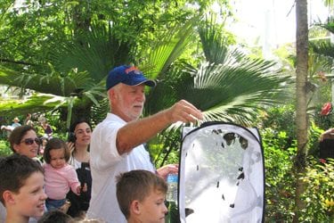 Butterfly Bonanza at Fairchild Gardens
