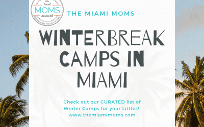 Winter Break Camps in Miami