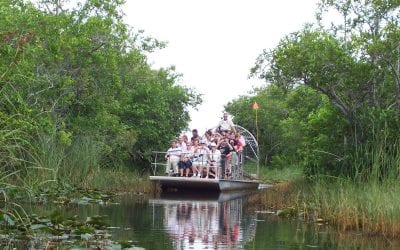 Cold Weather Activities for Families in Miami