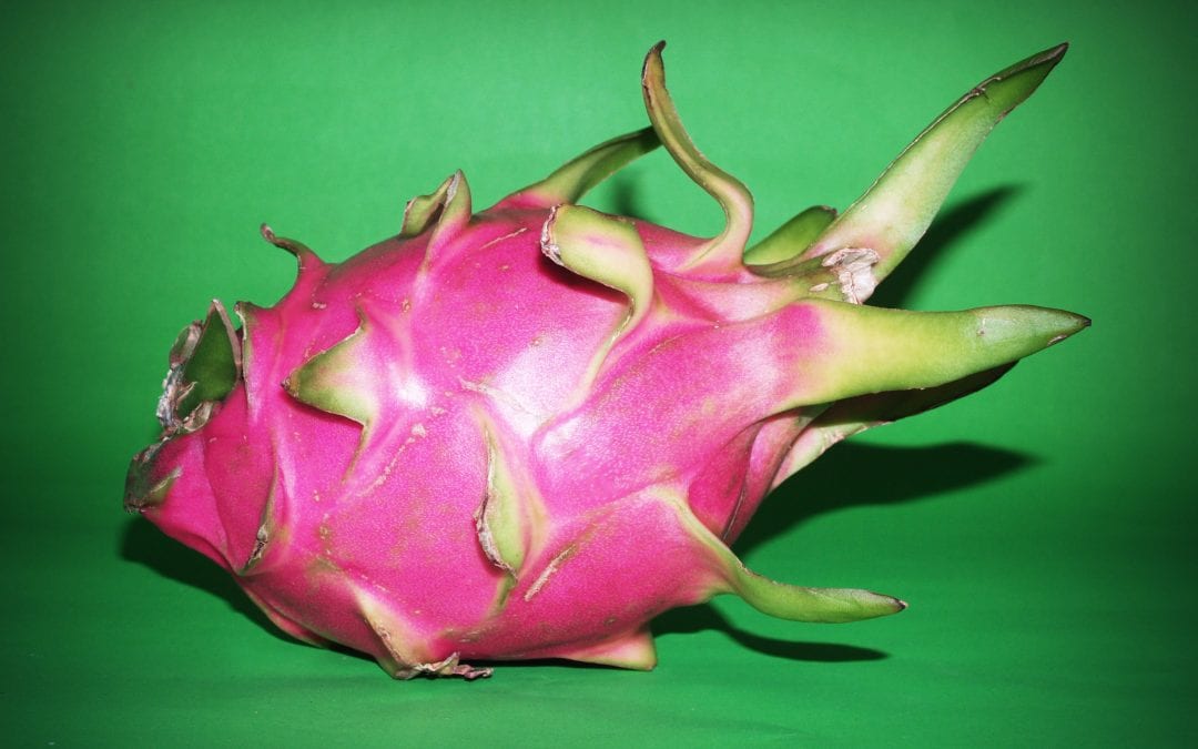 5 Ways to use Dragon Fruit