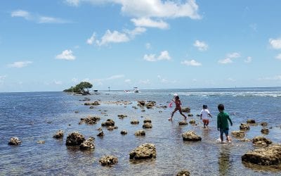 Summer is Here: Drowning Prevention