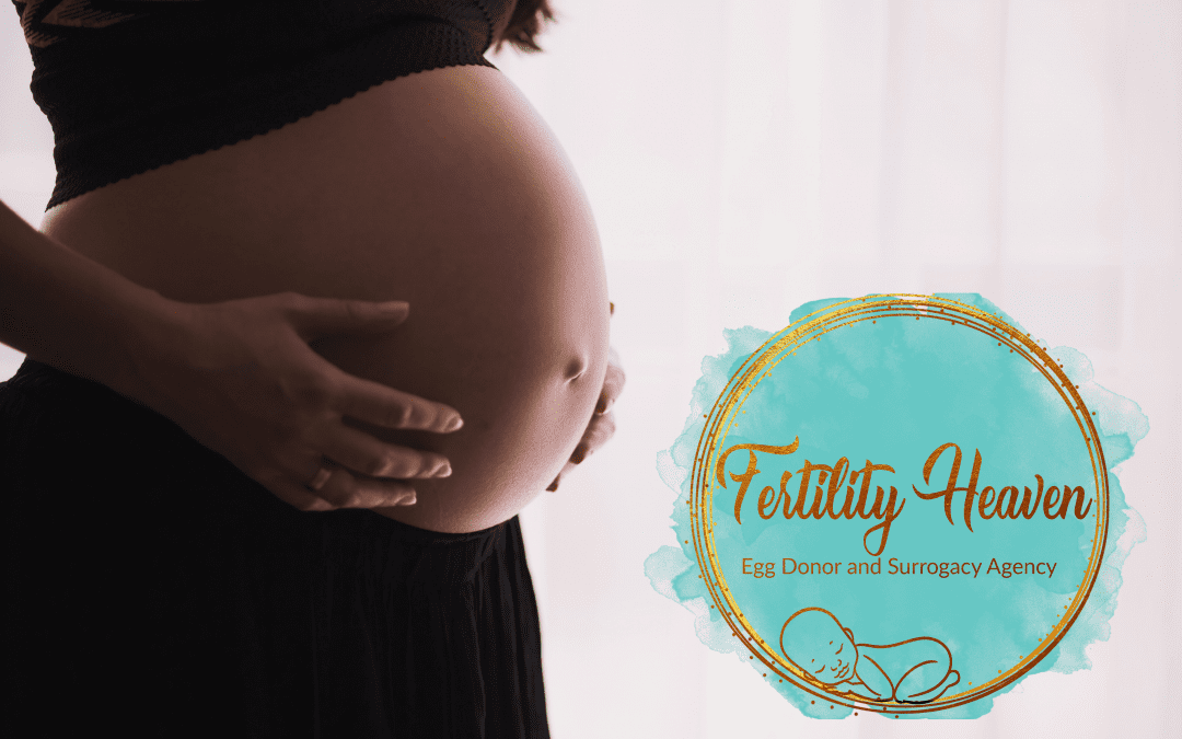 Surrogacy in Florida: Everything You MUST Know!