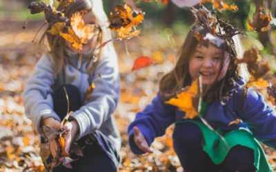 Weekend Events Round Up!