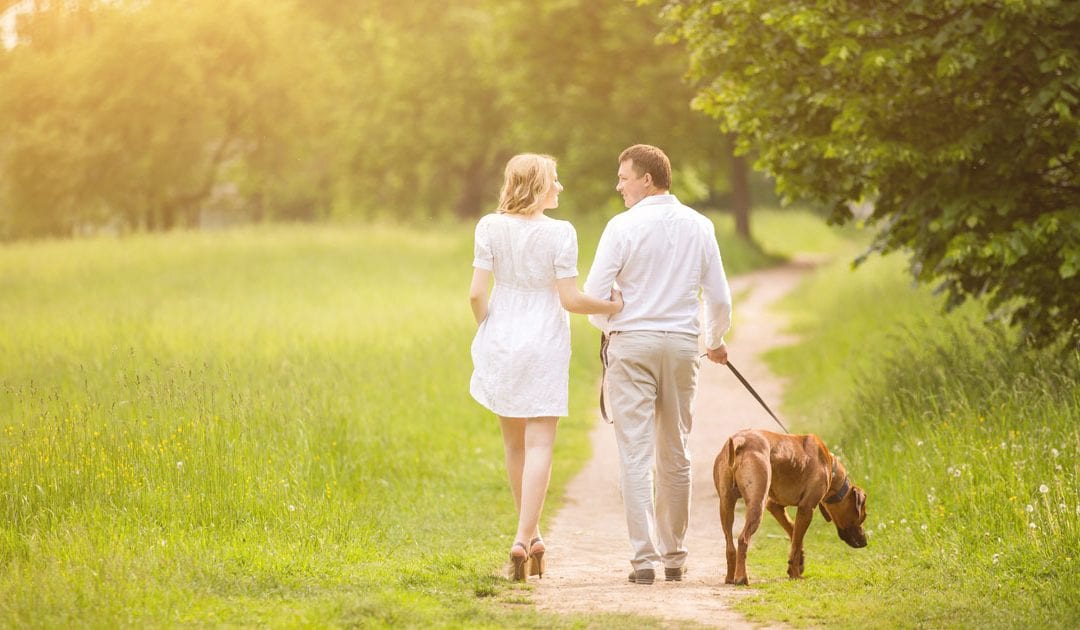 Should I Date Before My Divorce is Final?