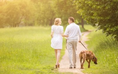 Should I Date Before My Divorce is Final?