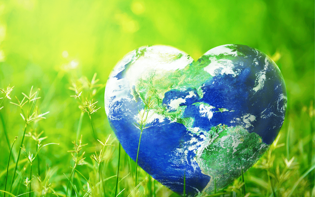 10 Ways to Celebrate Earth Day!