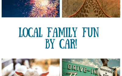Local Family Fun by Car