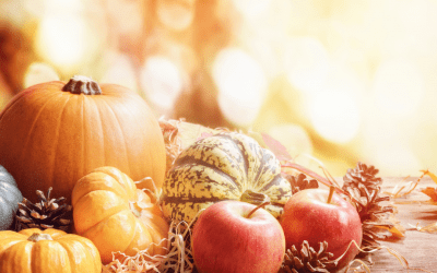 Where to Order Thanksgiving Dinner!