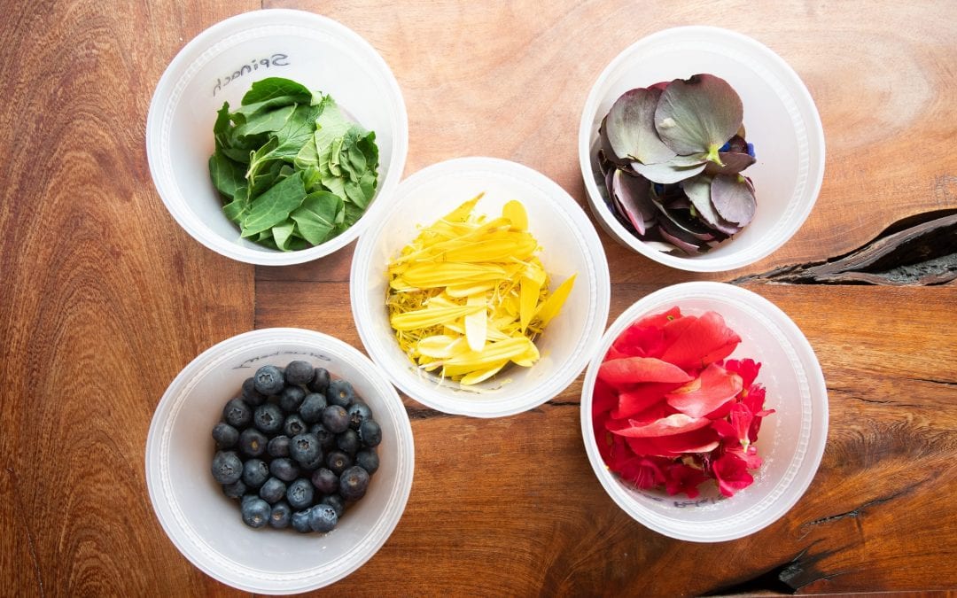 Gardening with Kids: Fun Ideas for All Ages!