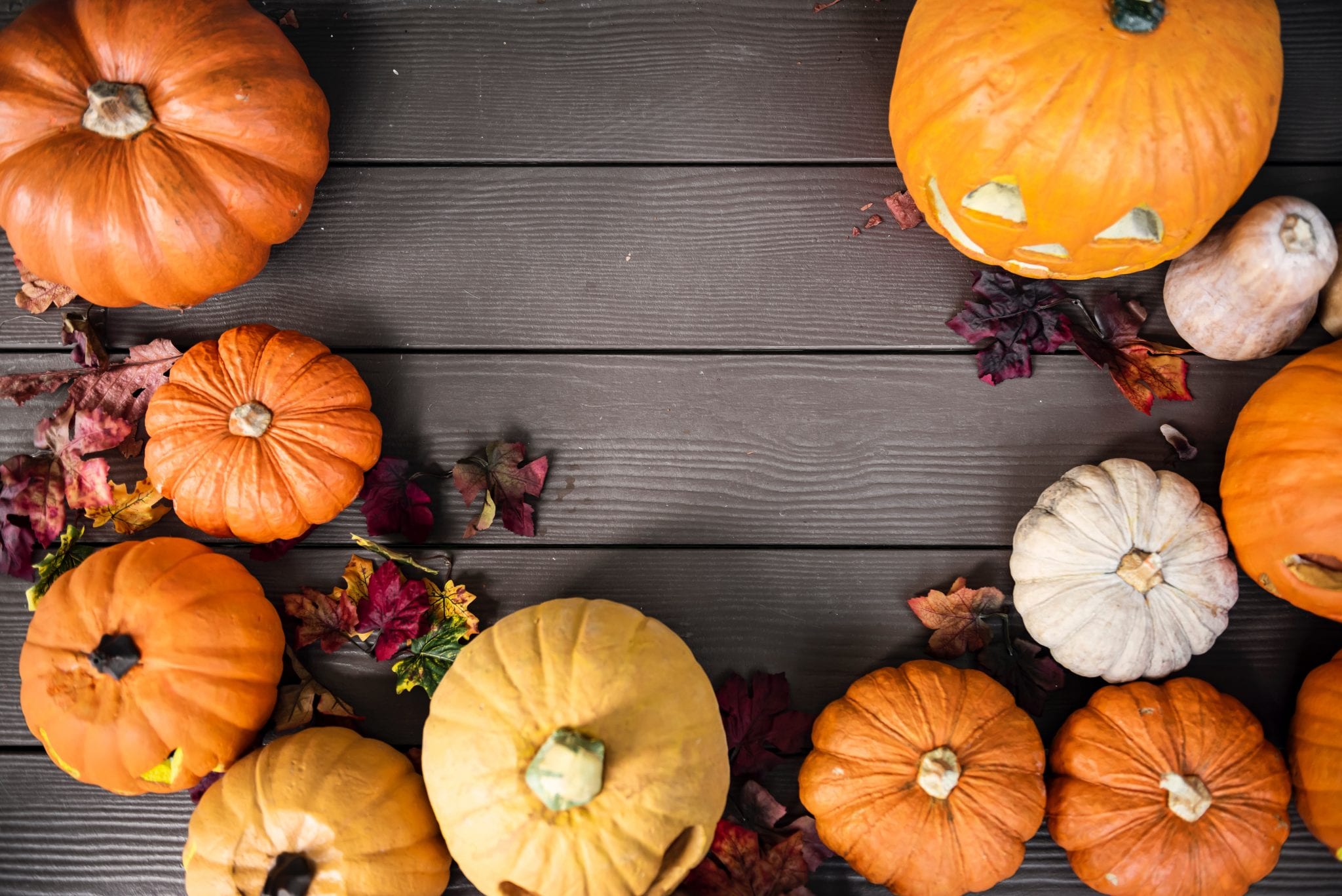 October Events Guide