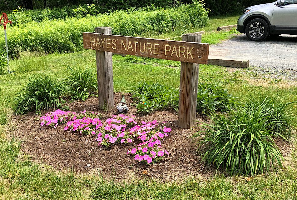 Hayes Nature Park in Clifton Park, NY