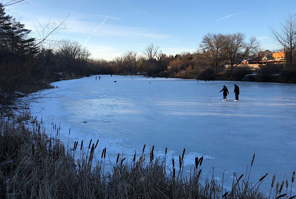 Ice Skating at Buckingham Pond