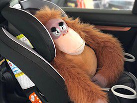 FREE Child Car Seat Check & Installation