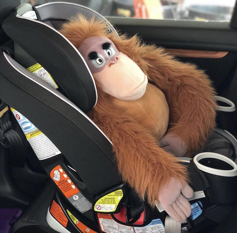 FREE Child Car Seat Check & Installation Capital District Moms