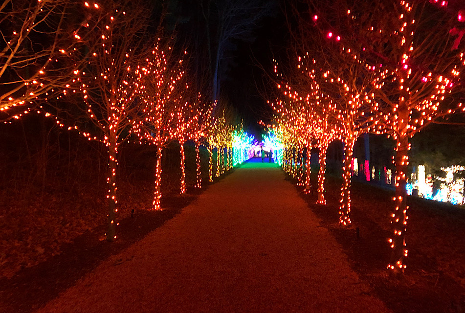 Winterlights at Naumkeag